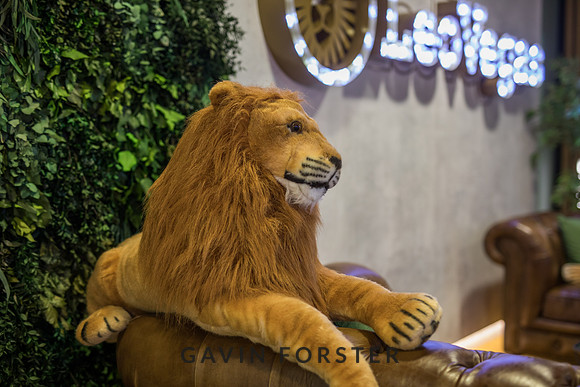 gavin forster photography -9789