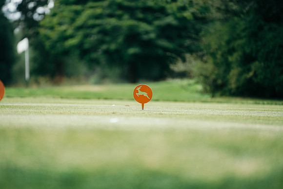 Gavin Forster Photography - Fore Ryder Cup 24-00065
